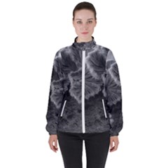 Tree Fungus Black And White Women s High Neck Windbreaker by okhismakingart