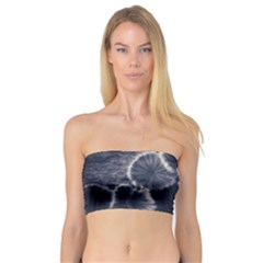 Tree Fungus Ii Bandeau Top by okhismakingart