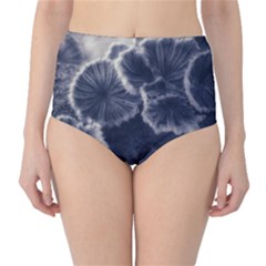 Tree Fungus Ii Classic High-waist Bikini Bottoms by okhismakingart