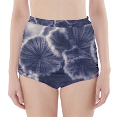 Tree Fungus Ii High-waisted Bikini Bottoms by okhismakingart