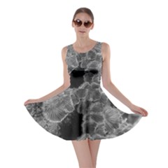 Tree Fungus Branch Vertical Black And White Skater Dress by okhismakingart