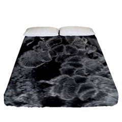 Tree Fungus Branch Vertical Black And White Fitted Sheet (queen Size) by okhismakingart