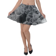 Tree Fungus Branch Vertical Black And White Velvet Skater Skirt by okhismakingart