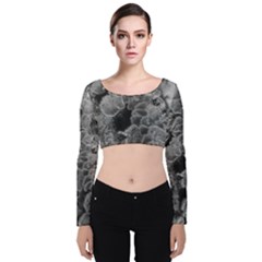 Tree Fungus Branch Vertical Black And White Velvet Long Sleeve Crop Top by okhismakingart