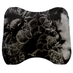 Tree Fungus Branch Vertical High Contrast Velour Head Support Cushion by okhismakingart