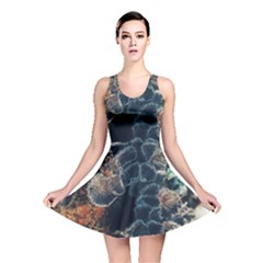 Tree Fungus Branch Vertical Reversible Skater Dress by okhismakingart