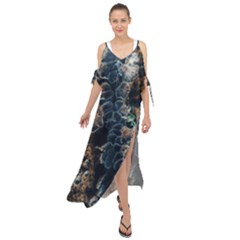 Tree Fungus Branch Vertical Maxi Chiffon Cover Up Dress by okhismakingart