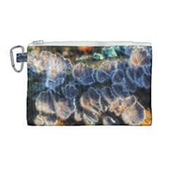 Tree Fungus Branch Canvas Cosmetic Bag (large) by okhismakingart