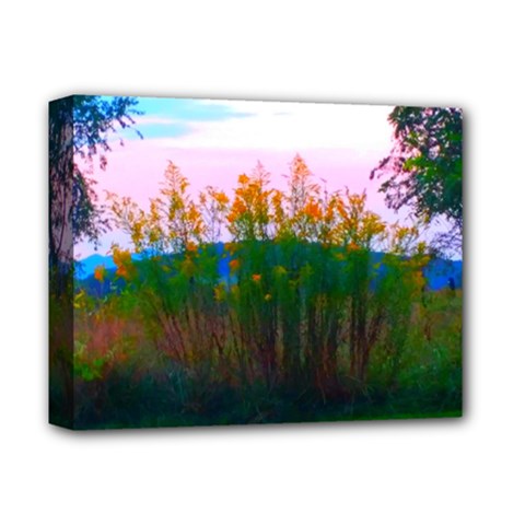 Field Of Goldenrod Deluxe Canvas 14  X 11  (stretched) by okhismakingart