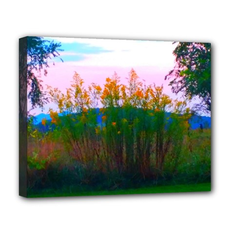 Field Of Goldenrod Deluxe Canvas 20  X 16  (stretched) by okhismakingart