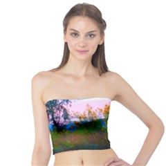 Field Of Goldenrod Tube Top by okhismakingart