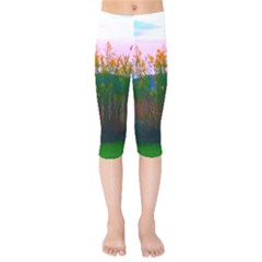 Field Of Goldenrod Kids  Capri Leggings  by okhismakingart