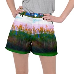 Field Of Goldenrod Stretch Ripstop Shorts by okhismakingart