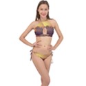 Early Sunset Cross Front Halter Bikini Set View1