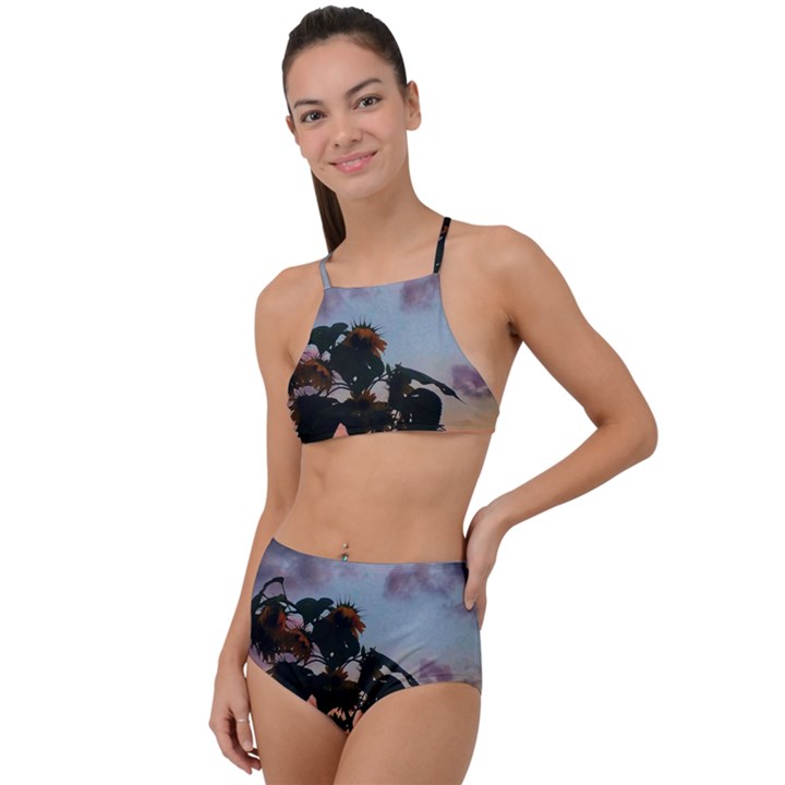 Sunflower Sunset High Waist Tankini Set