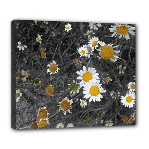 Black And White With Daisies Deluxe Canvas 24  X 20  (stretched) by okhismakingart