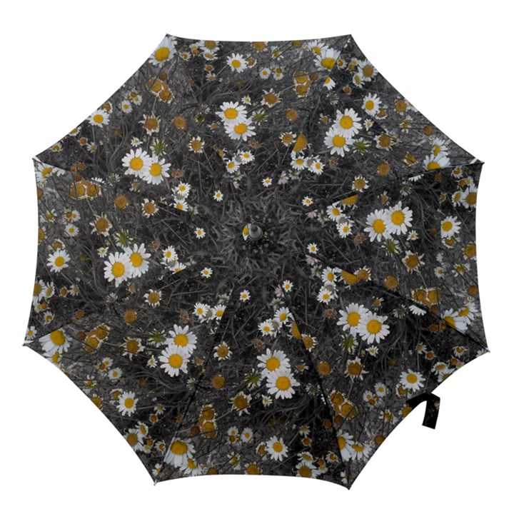 Black And White With Daisies Hook Handle Umbrellas (Large)