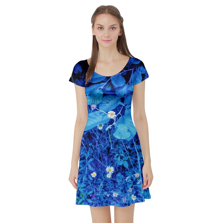 Blue Daisies Short Sleeve Skater Dress