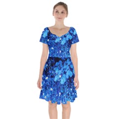 Blue Daisies Short Sleeve Bardot Dress by okhismakingart