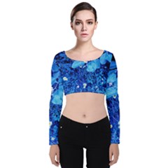 Blue Daisies Velvet Long Sleeve Crop Top by okhismakingart