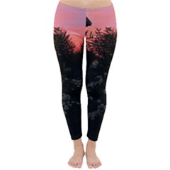 Daisies And Pink Classic Winter Leggings by okhismakingart