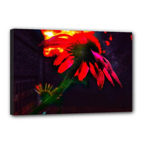 Neon Cone Flower Canvas 18  X 12  (stretched) by okhismakingart