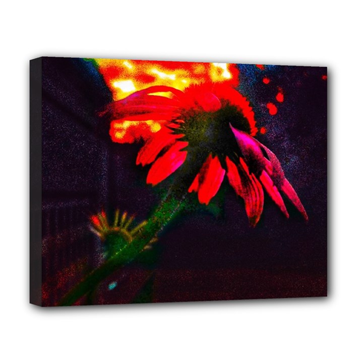 Neon Cone Flower Deluxe Canvas 20  x 16  (Stretched)