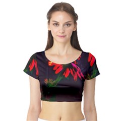 Neon Cone Flower Short Sleeve Crop Top by okhismakingart