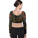 Old Sunset Velvet Long Sleeve Crop Top View2