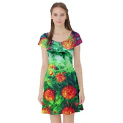 Intense Flowers Short Sleeve Skater Dress