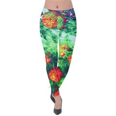 Intense Flowers Velvet Leggings