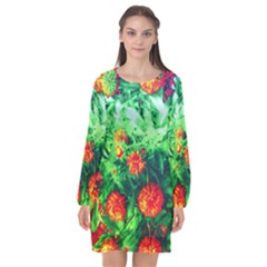 Intense Flowers Long Sleeve Chiffon Shift Dress 