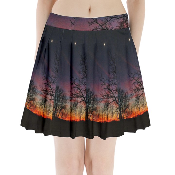 Darkness Falling Pleated Mini Skirt