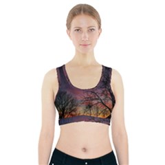 Darkness Falling Sports Bra With Pocket by okhismakingart