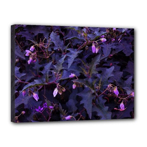 Purple Nettles Canvas 16  X 12  (stretched) by okhismakingart