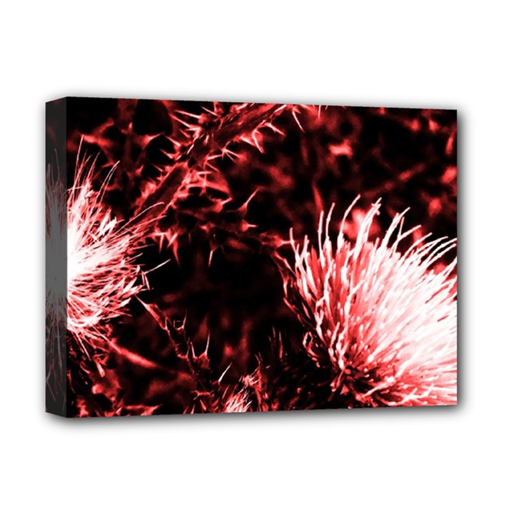 Red Thistle Deluxe Canvas 16  x 12  (Stretched) 