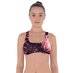 Red Thistle Got No Strings Sports Bra by okhismakingart