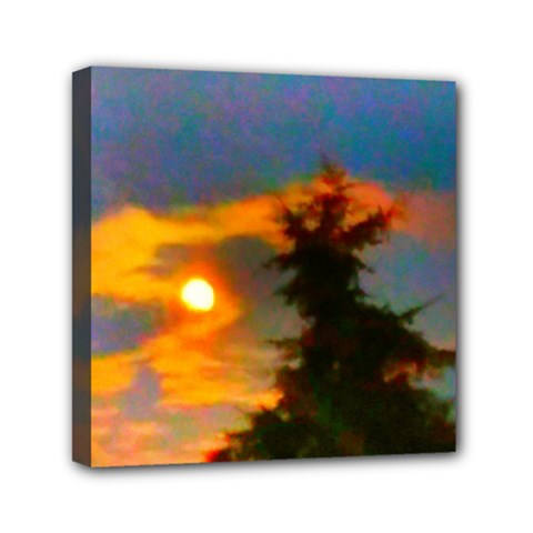 Sunrise And Fir Tree Mini Canvas 6  X 6  (stretched) by okhismakingart