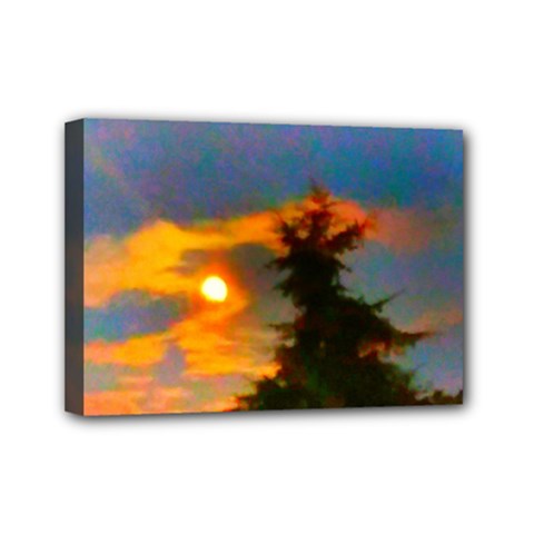 Sunrise And Fir Tree Mini Canvas 7  X 5  (stretched) by okhismakingart