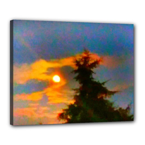 Sunrise And Fir Tree Canvas 20  X 16  (stretched) by okhismakingart