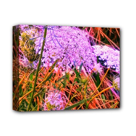 Blue Tinted Queen Anne s Lace Deluxe Canvas 14  X 11  (stretched) by okhismakingart