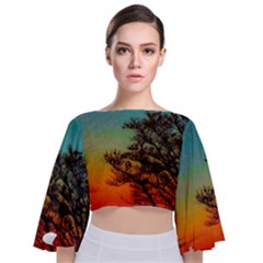 Turquoise Sunset Tie Back Butterfly Sleeve Chiffon Top by okhismakingart