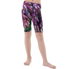 Milkweed Kids  Mid Length Swim Shorts by okhismakingart