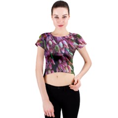 Milkweed Crew Neck Crop Top by okhismakingart