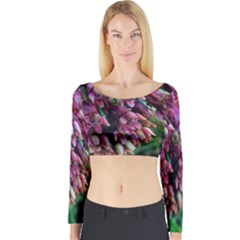 Milkweed Long Sleeve Crop Top by okhismakingart