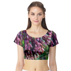 Milkweed Short Sleeve Crop Top by okhismakingart