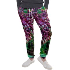 Milkweed Men s Jogger Sweatpants