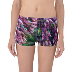 Milkweed Boyleg Bikini Bottoms by okhismakingart