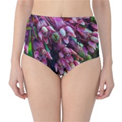 Milkweed Classic High-waist Bikini Bottoms by okhismakingart