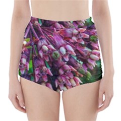 Milkweed High-waisted Bikini Bottoms by okhismakingart